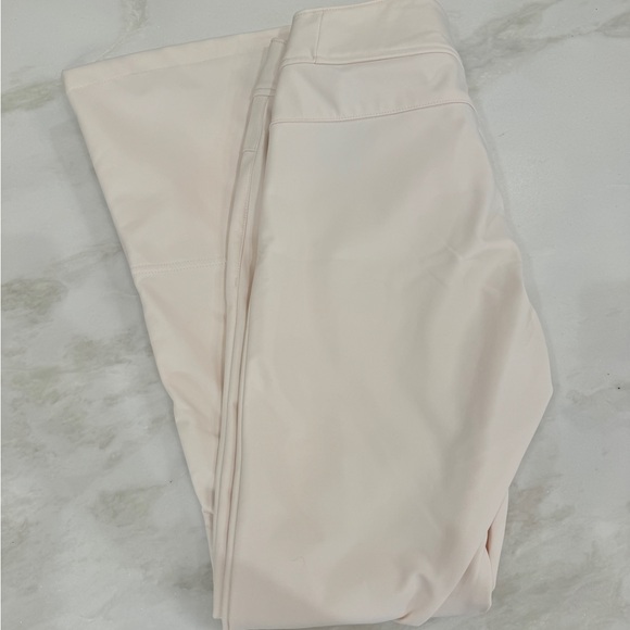 NWT North Face Apex STH Ski Pants - Picture 7 of 8